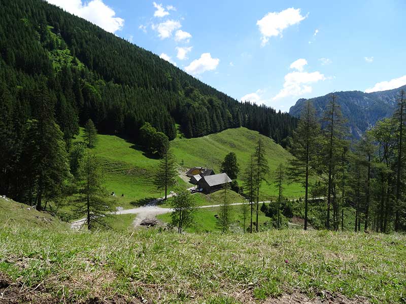 Buchbergkogel